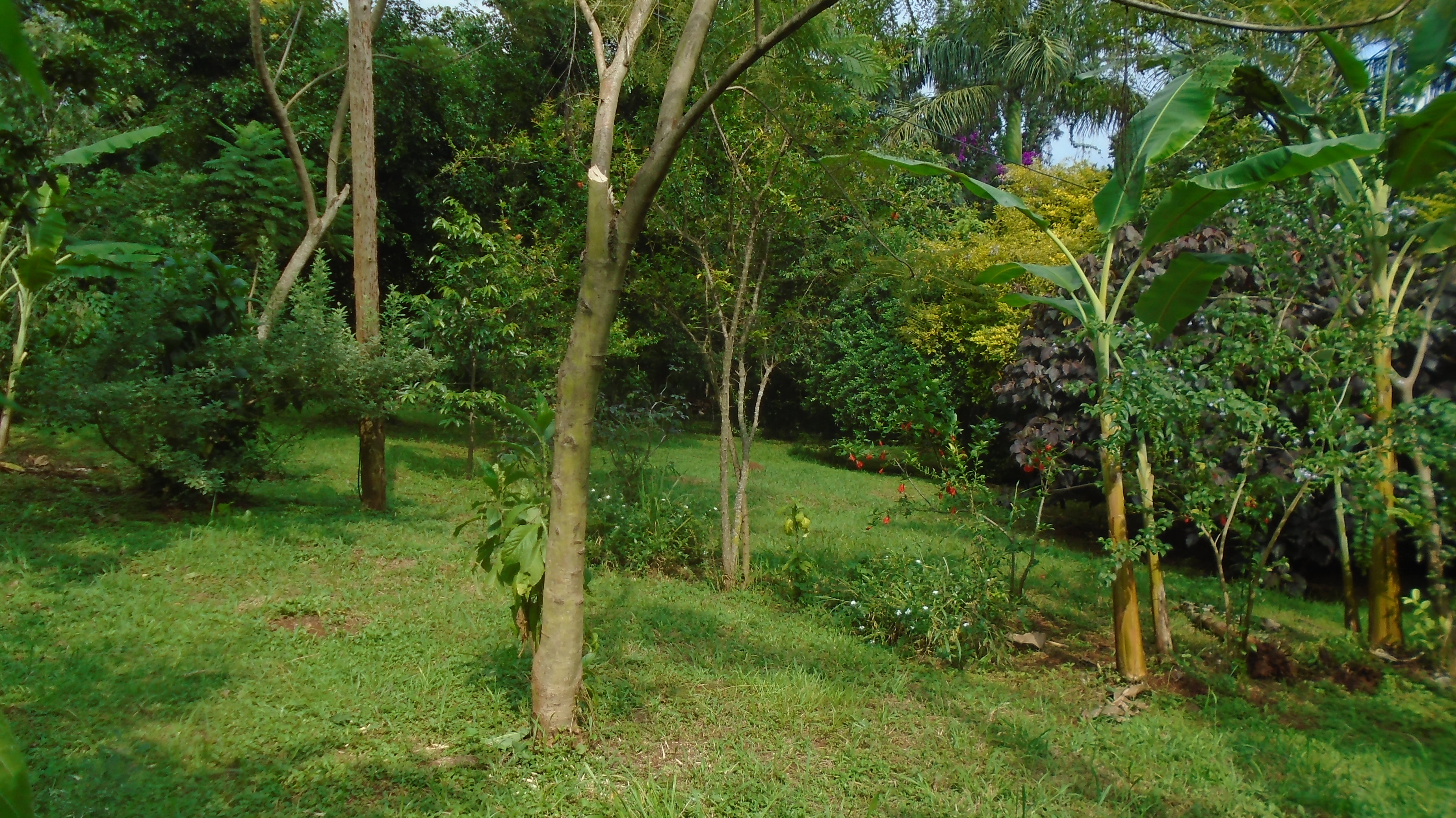 Gallery image: DSC02442 (1).JPG